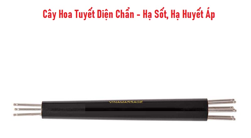 Cây Hoa Tuyết Diện Chẩn - Hạ Sốt, Hạ Huyết Áp