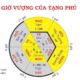 Giờ Vượng Của Tạng Phủ