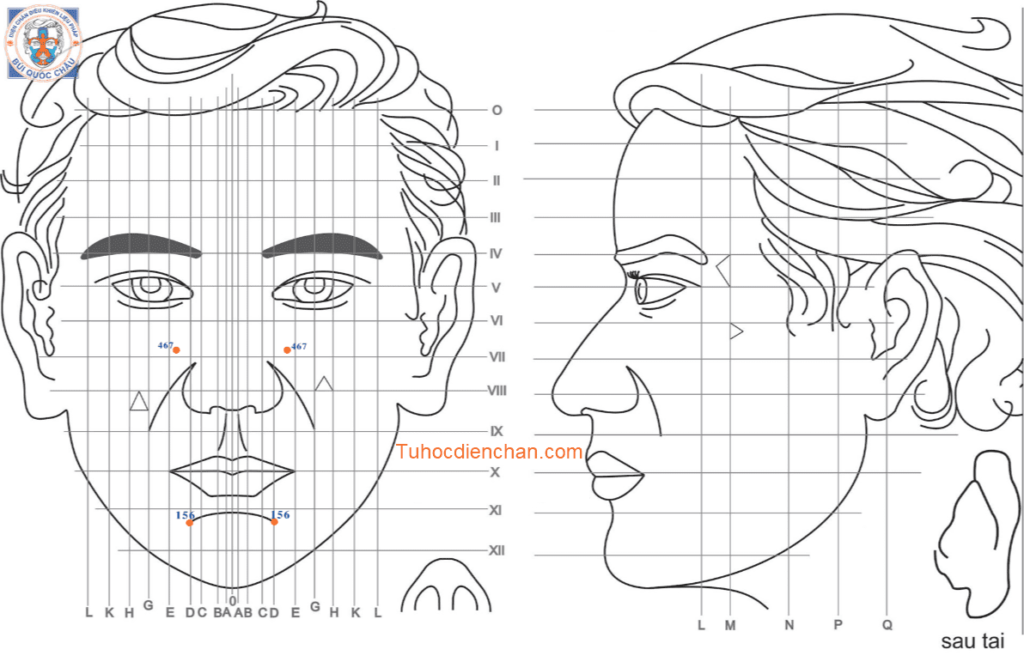 Bộ Vị Huyệt Diện Chẩn Liên Hệ Gờ Mày