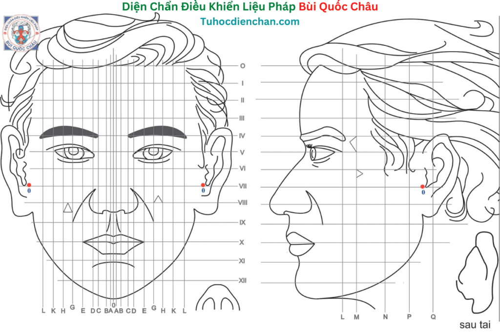 Huyệt Số 0 Diện Chẩn Bùi Quốc Châu: Vị Trí, Tác Dụng, Chủ Trị