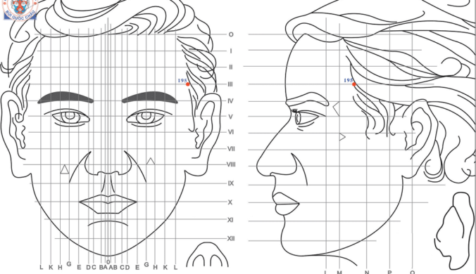 Huyệt Số 195 Diện Chẩn Bùi Quốc Châu: Vị Trí, Tác Dụng, Chủ Trị