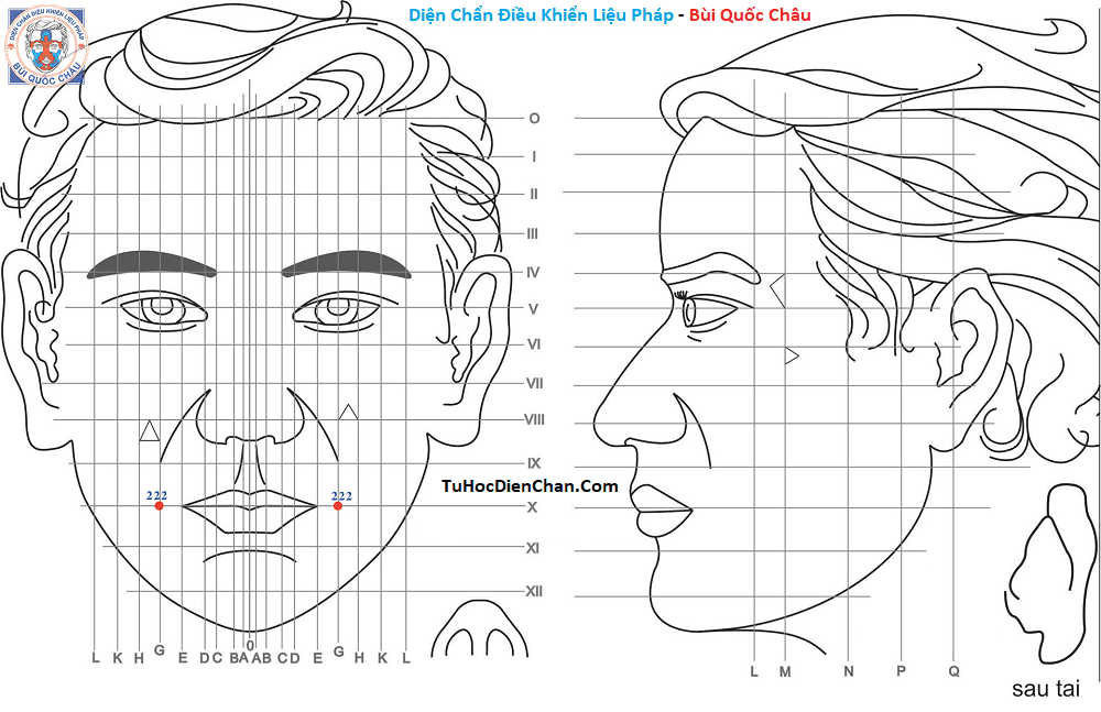 Huyệt Số 222 Diện Chẩn Bùi Quốc Châu: Vị Trí, Tác Dụng, Chủ Trị