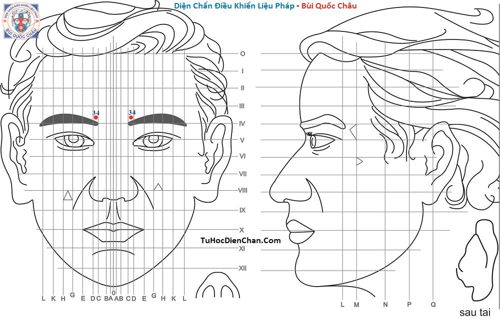 Cùng tìm hiểu về Huyệt Số 34 Diện Chẩn Bùi Quốc Châu: Vị Trí, Tác Dụng, Chủ Trị.