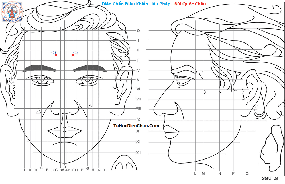 Huyệt Số 405 Diện Chẩn Bùi Quốc Châu: Vị Trí, Tác Dụng, Chủ Trị