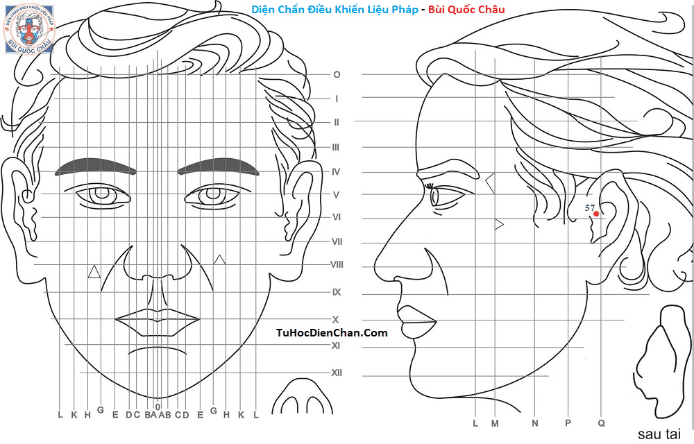 Huyệt Số 57 Diện Chẩn Bùi Quốc Châu: Vị Trí, Tác Dụng, Chủ Trị