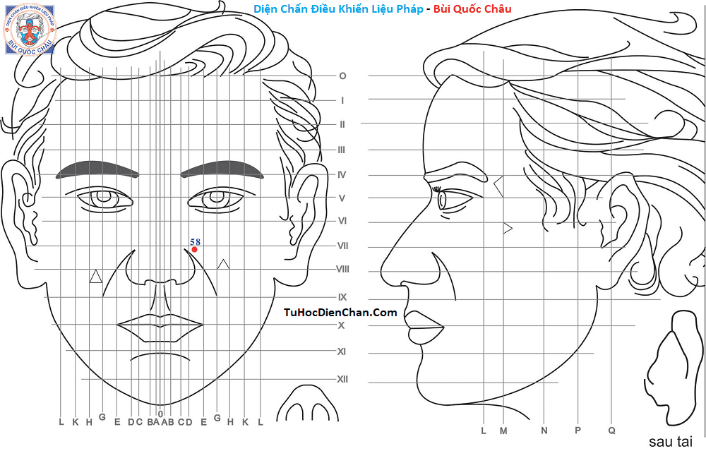 Huyệt Số 58 Diện Chẩn Bùi Quốc Châu: Vị Trí, Tác Dụng, Chủ Trị