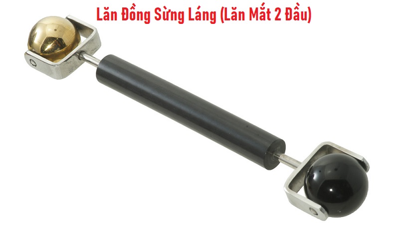 Lăn Đồng Sừng Láng (Lăn Mắt 2 Đầu) Diện Chẩn