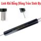 Cây Linh Khí Bổng (Vòng Tròn Sinh Địa) Diện Chẩn