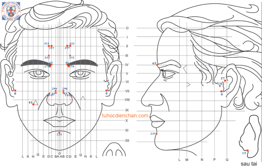 Bộ Vị Huyệt Diện Chẩn Liên Hệ Tai