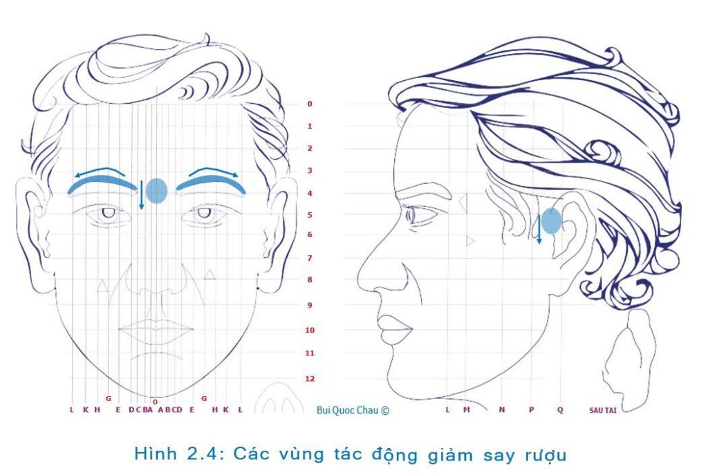 Cách xử lý đơn giản Xử Lý Say Rượu, Ngộ Độc Rượu Bằng Diện Chẩn (dành cho mọi người)