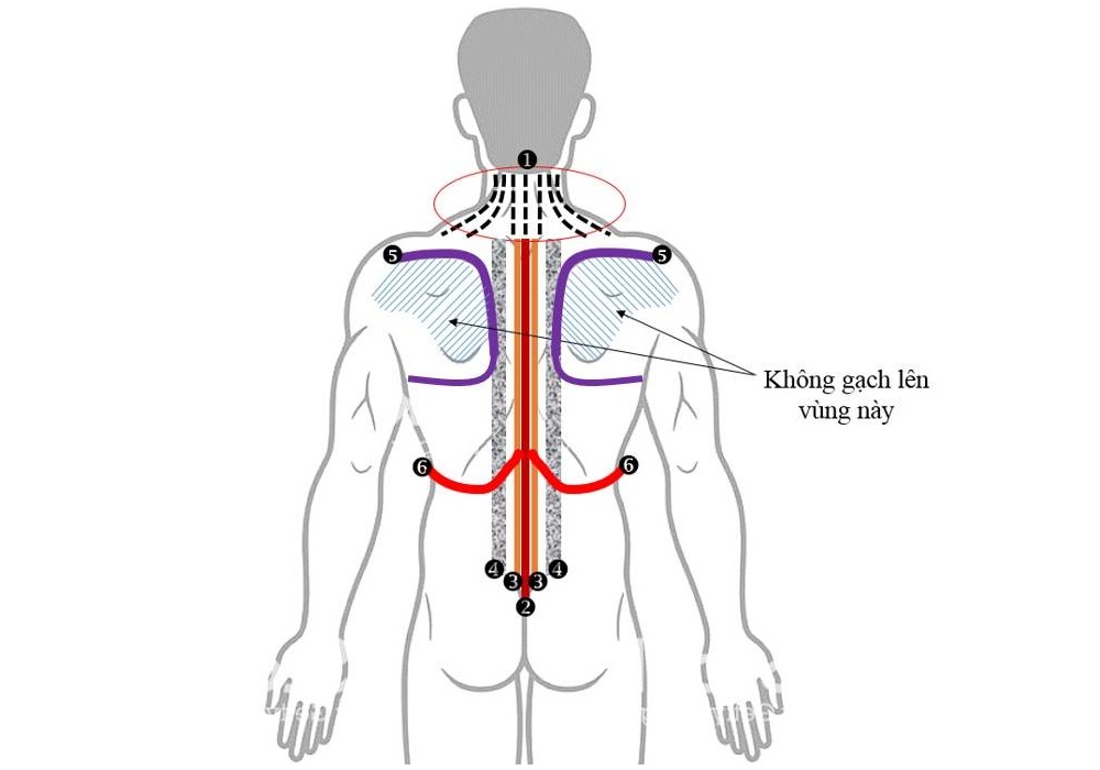 6 Đường Thần Thánh Diện Chẩn - Lương Y Bùi Minh Tâm