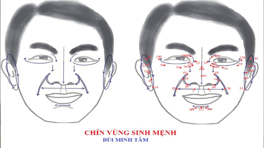 Thực Hành 9 Vùng Sinh Mệnh Diện Chẩn - Lương Y Bùi Minh Tâm