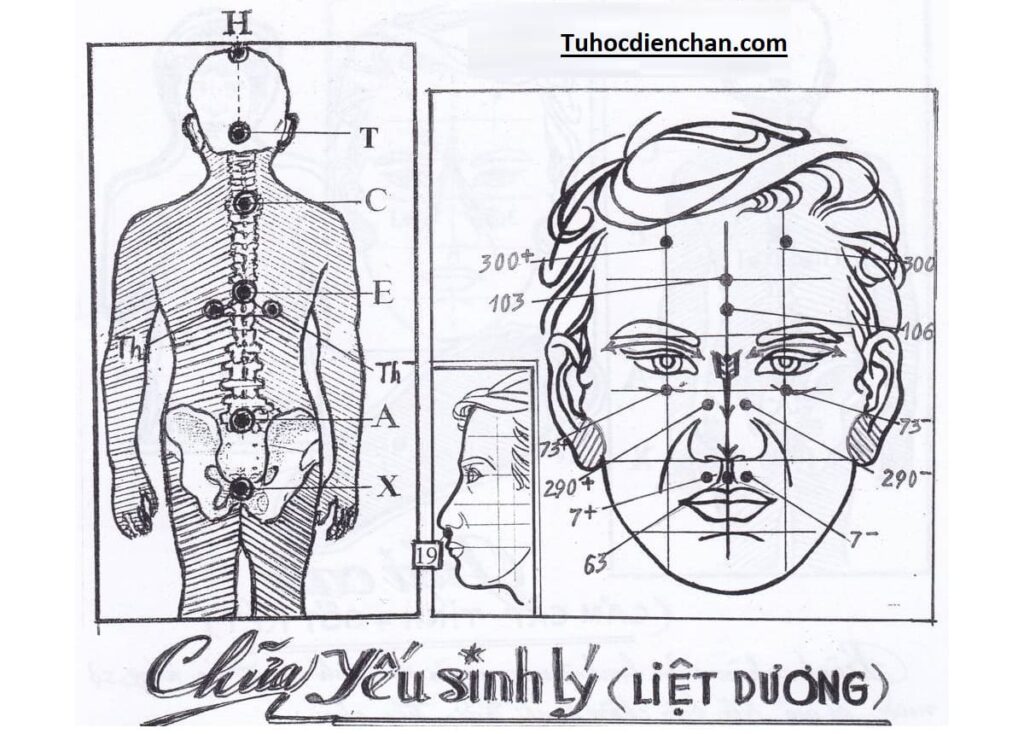 Cách Chữa Yếu Sinh Lý Liệt Dương Bằng Diện Chẩn – Lương Y Hoàng Chu