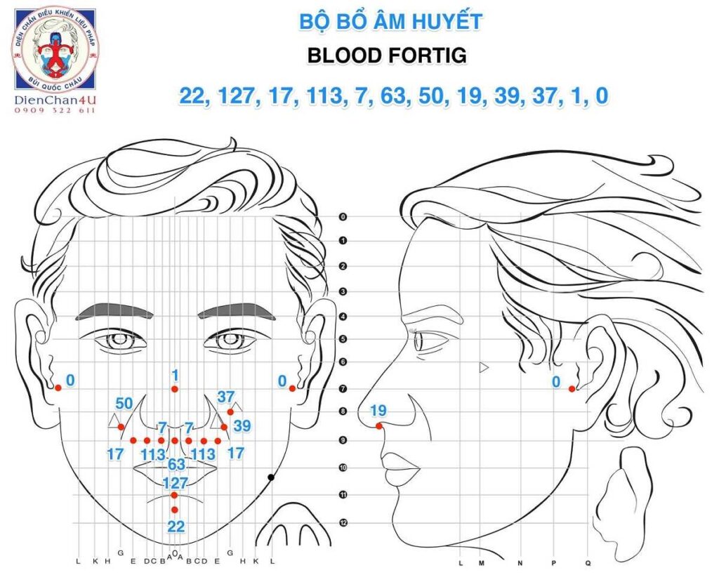 Bộ Huyệt Bổ Âm Huyết - Blood Fortig Diện Chẩn