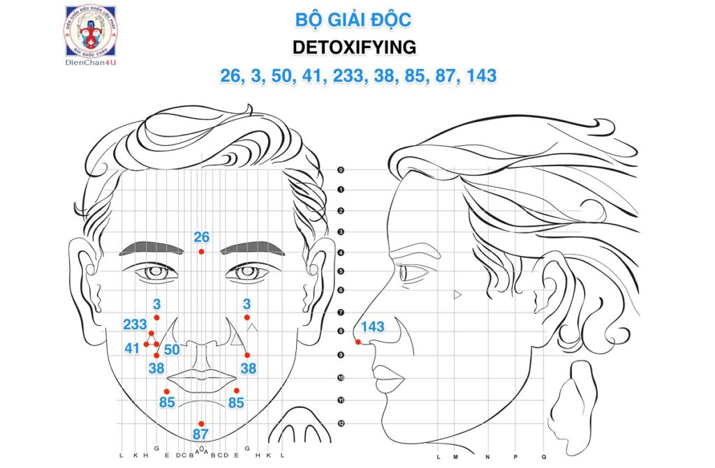 Vị trí các huyệt trong Bộ Giải Độc (Detoxifying) Diện Chẩn Bùi Quốc Châu: