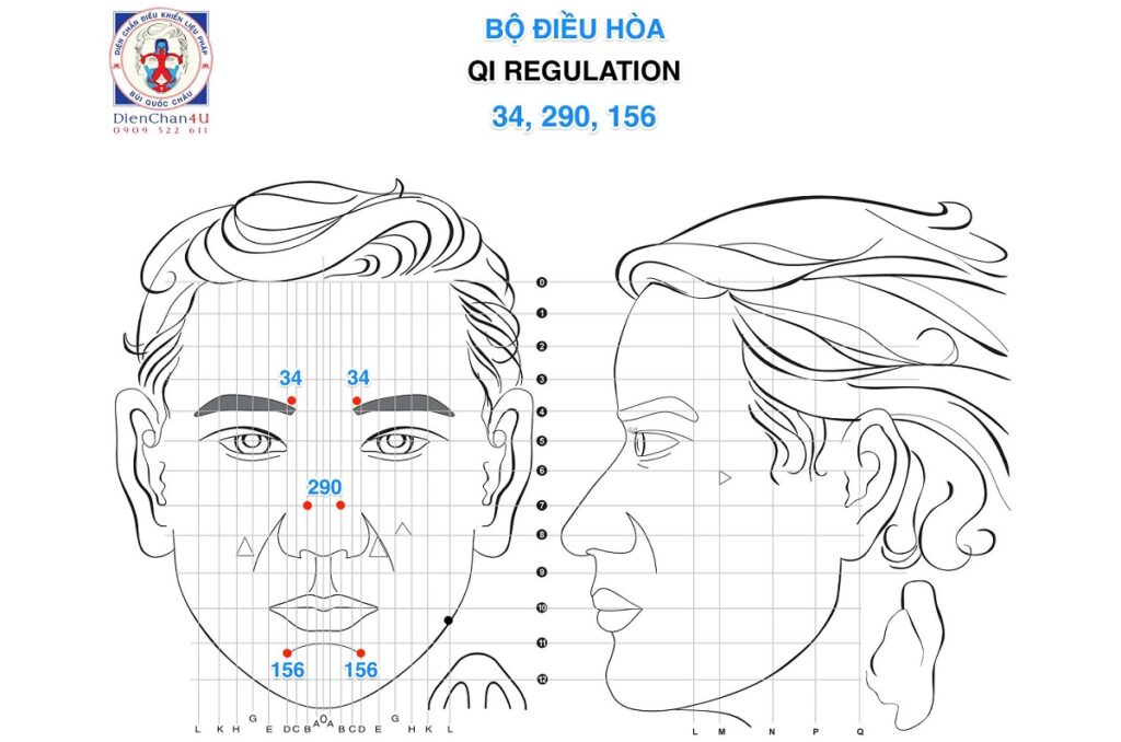 Bộ Huyệt Điều Hòa (QI Regulation) Diện Chẩn