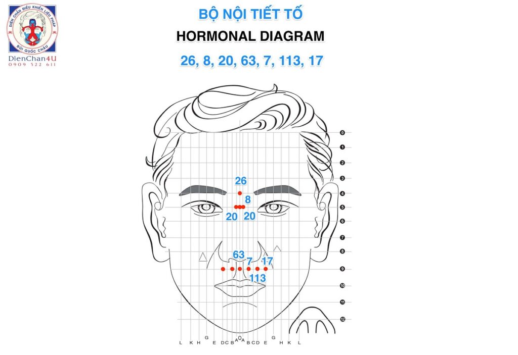 Bộ Nội Tiết Tố (Hormonal Diagram) Diện Chẩn Bùi Quốc Châu