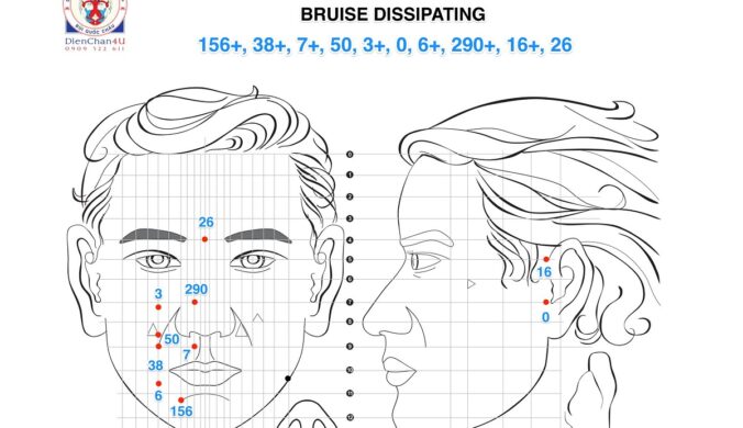 Bộ Tan Máu Bầm (Bruise Disspating) Diện Chẩn Bùi Quốc Châu