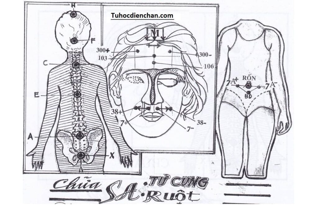 Cách Chữa Sa Tử Cung, Sa Ruột Bằng Diện Chẩn – Lương Y Hoàng Chu