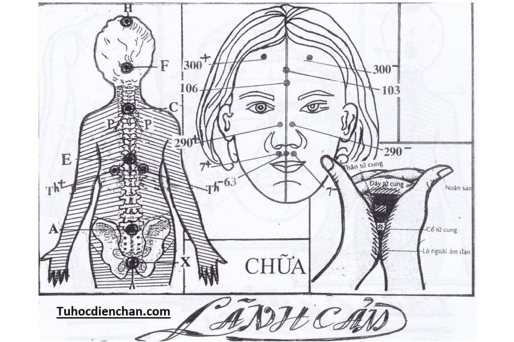 Phát Đồ Thực Hiện Chữa Lãnh Cảm Ở Phụ Nữ – Lương Y Hoàng Chu