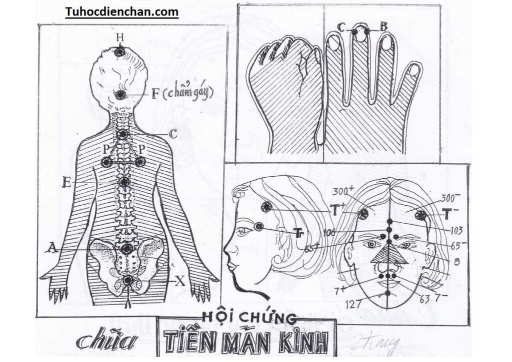 Cách Thực Hành Chữa Tiền Mãn Kinh Bằng Diện Chẩn - Lương Y Hoàng Chu