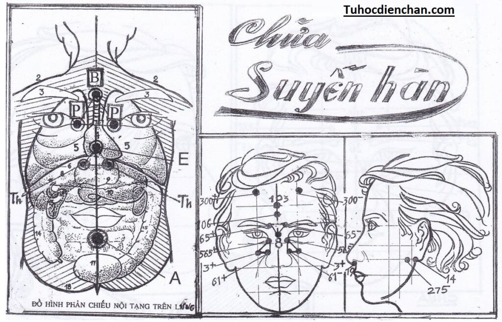 Phác Đồ Huyệt Hen Suyễn Hàn Bằng Diện Chẩn - Lương Y Hoàng Chu