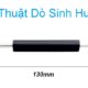 Kỹ Thuật Dò Sinh Huyệt Trong Diện Chẩn Bùi Quốc Châu