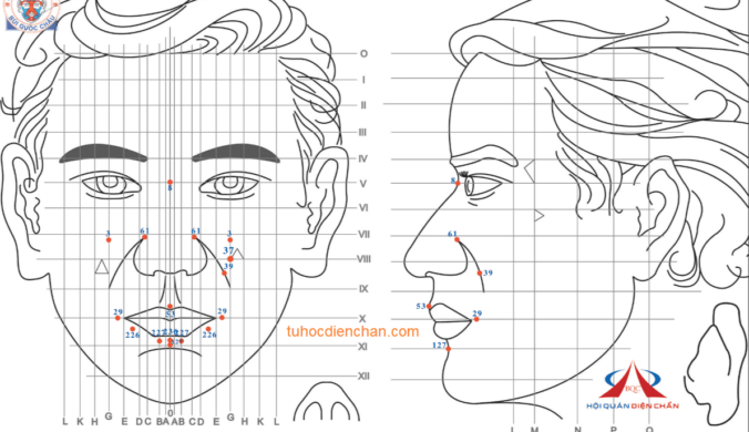 Bộ Vị Huyệt Diện Chẩn Liên Hệ Môi Miệng