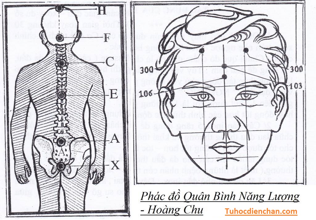 Phác Đồ Quân Bình Năng Lượng của Lương y Hoàng Chu - Phá Tan Sự Bế Tắc 