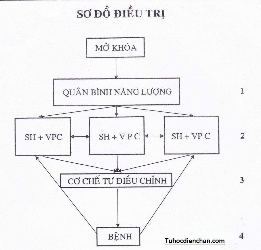 Phác Đồ Quân Bình Năng Lượng Diện Chẩn – Khai Thông Sự Bế Tắc - Lương y Hoàng Chu