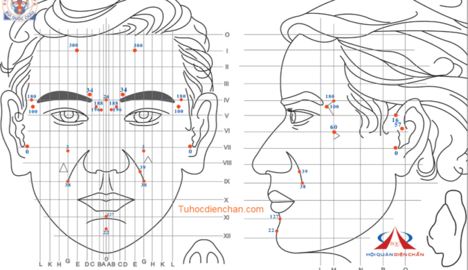 Bộ Vị Huyệt Diện Chẩn Bùi Quốc Châu Liên Hệ Răng