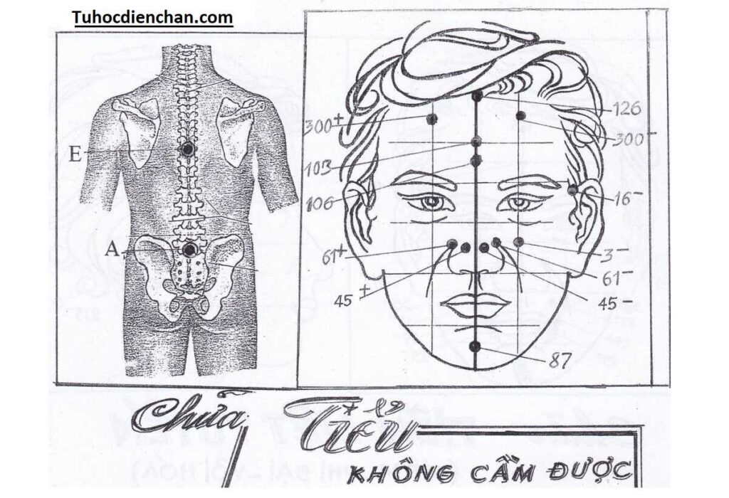 Cách Chữa Tiểu Không Cầm Được Bằng Diện Chẩn - Lương Y Hoàng Chu