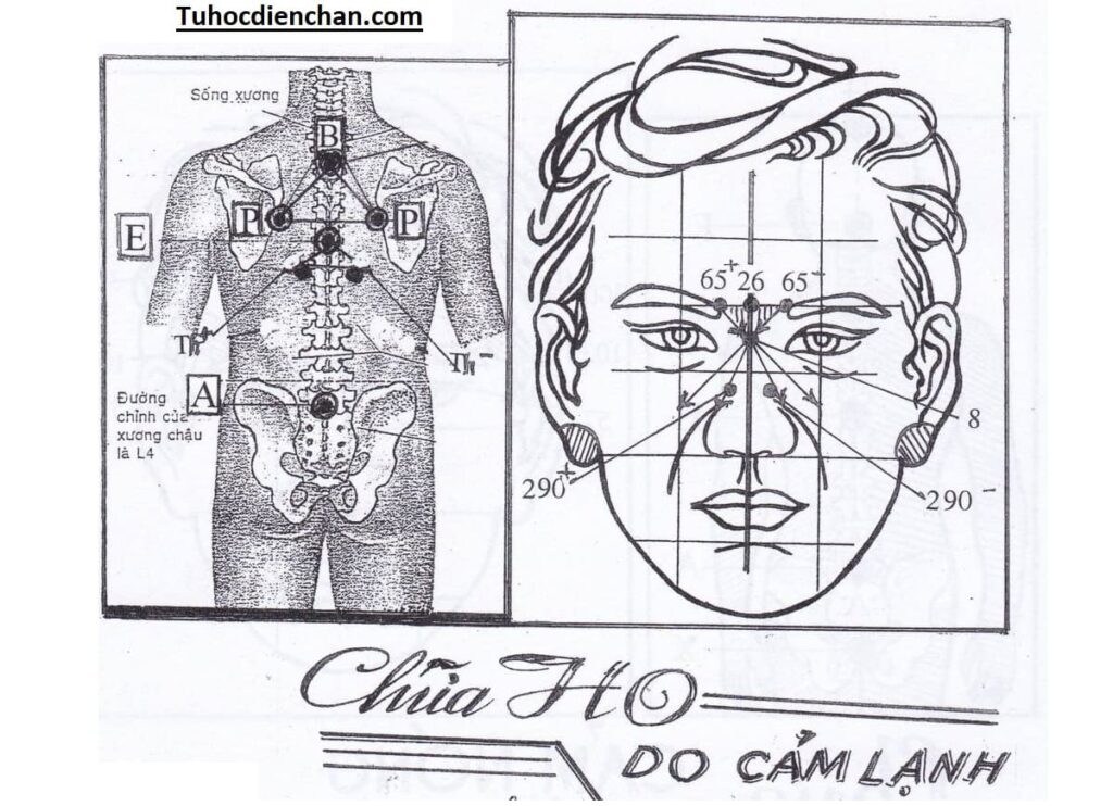 Cách Chữa Ho Do Cảm Lạnh Bằng Diện Chẩn – Phác đồ Hoàng Chu