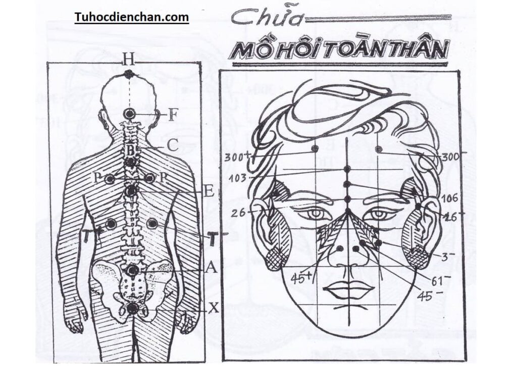 Cách Chữa Mồ Hôi Toàn Thân Bằng Diện Chẩn – Phác đồ Lương Y Hoàng Chu