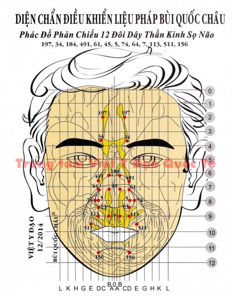 Phác Đồ Phản Chiếu 12 Đôi Dây Thần Kinh Sọ Não Diện Chẩn Bùi Quốc Châu